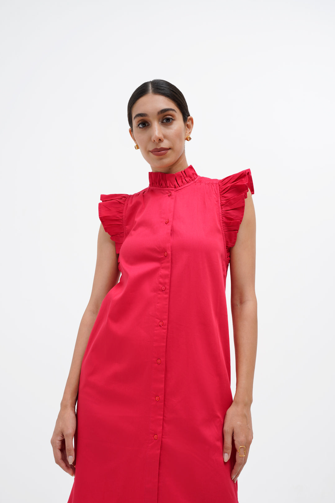 Evelyn Ruffled Sleeve Dress