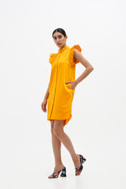 Evelyn Ruffled Sleeve Dress