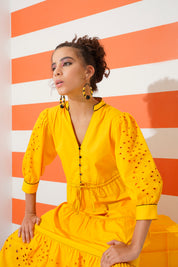 Thalia Sunshine Embroidered Dress